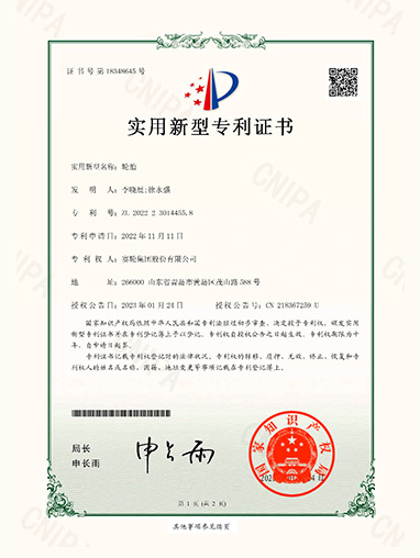 Lốp xe 2024210662106