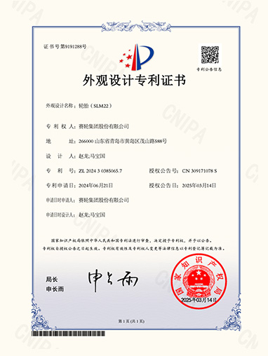 Lốp xe (SLM22)